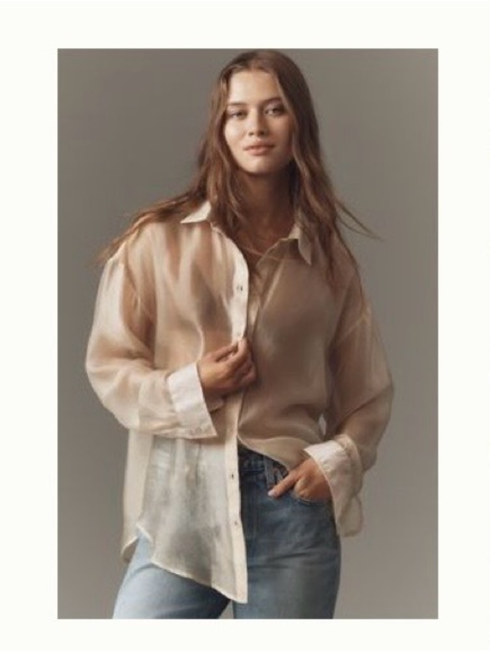 Anthropologie Sheer Taupe Button-Down Blouse